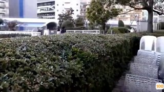 超美外籍模特胸口有个纹身的妹子口活一流